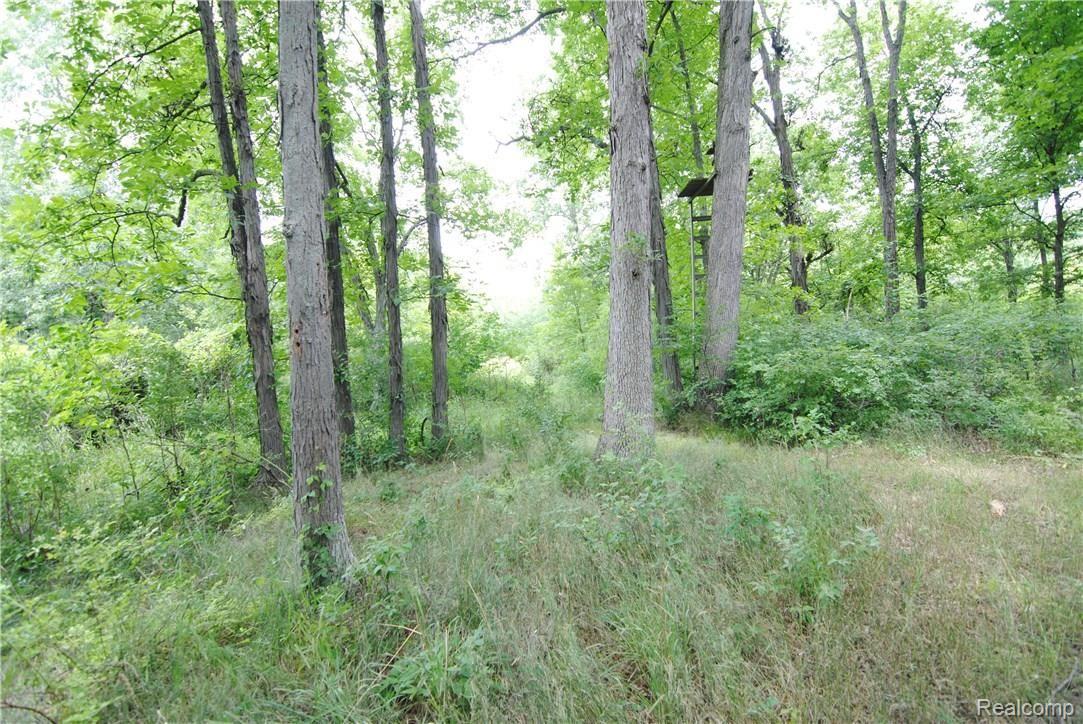 2497 East Clyde Road Howell, MI 48855 - Photo 91 of 95 Trails....