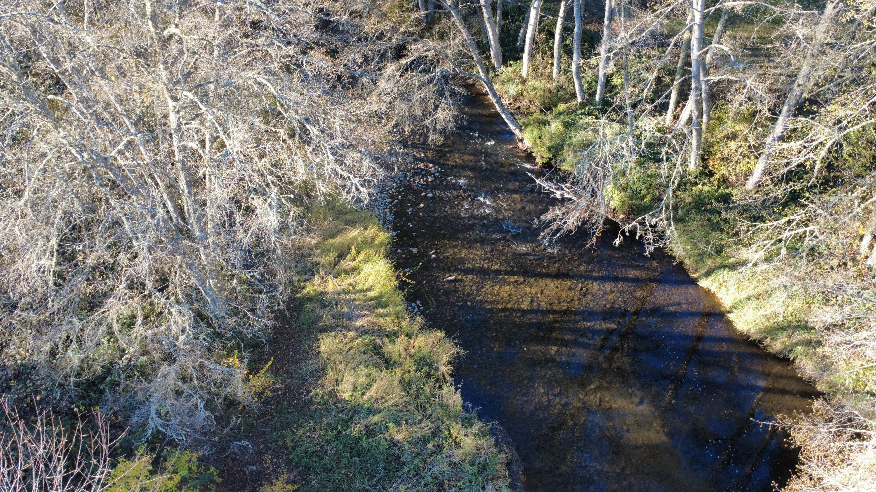188 Pisqually Lane Azalea, OR 97410 - Photo 14 of 19 dji_fly_20251115_145230_60_1763247193788