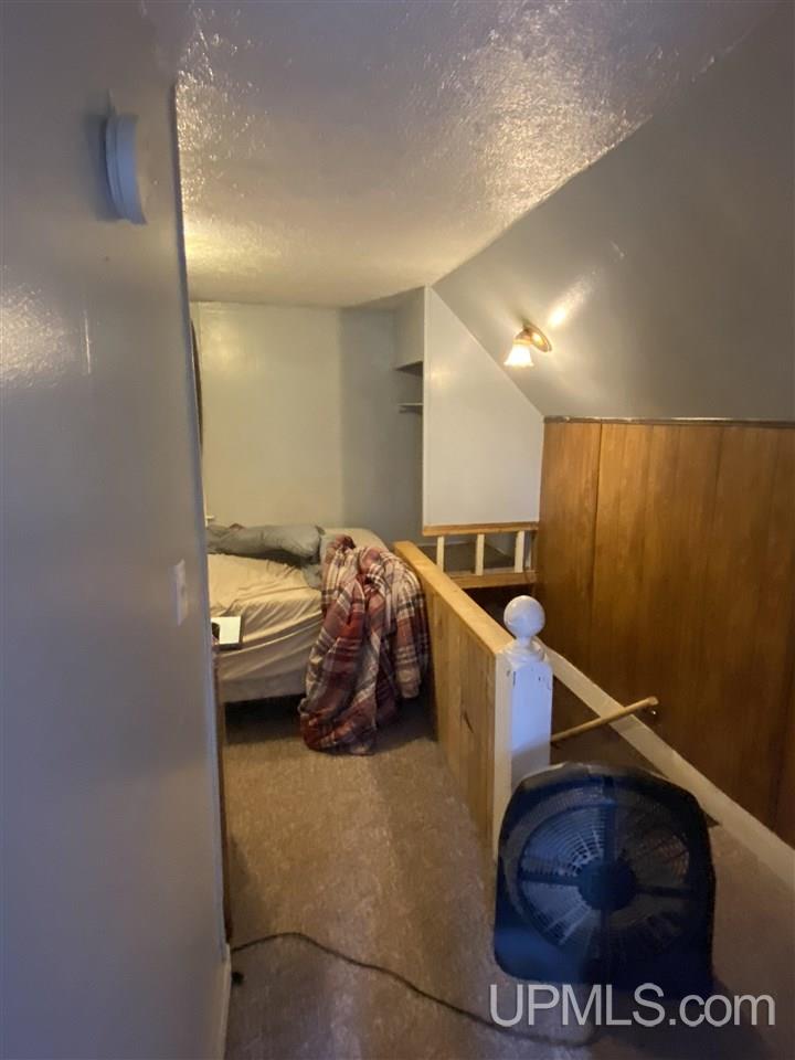 325 West Ridge Street Ishpeming, MI 49849 - Photo 49 of 57