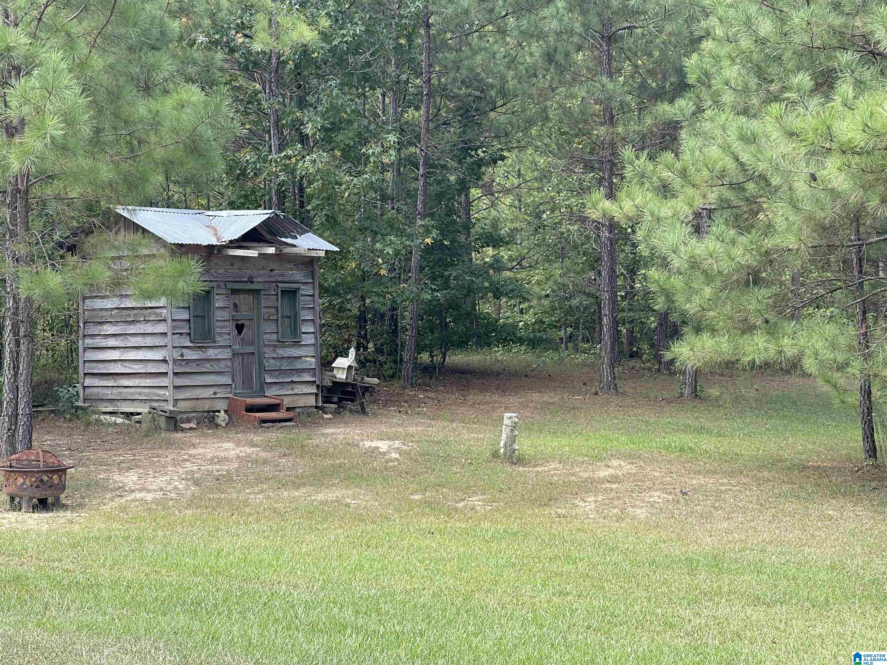 3304 Possum Trot Road Piedmont, AL 36272 - Photo 52 of 60