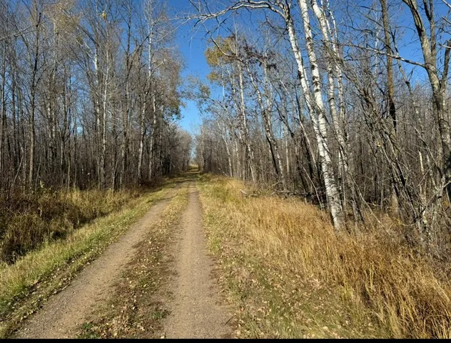 $234,870 | Xxx Dam Lake Street, Aitkin, MN 56431