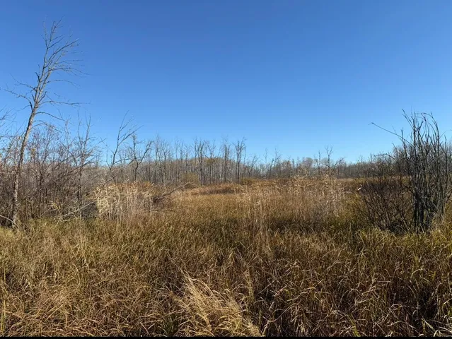 $234,870 | Xxx Dam Lake Street, Aitkin, MN 56431