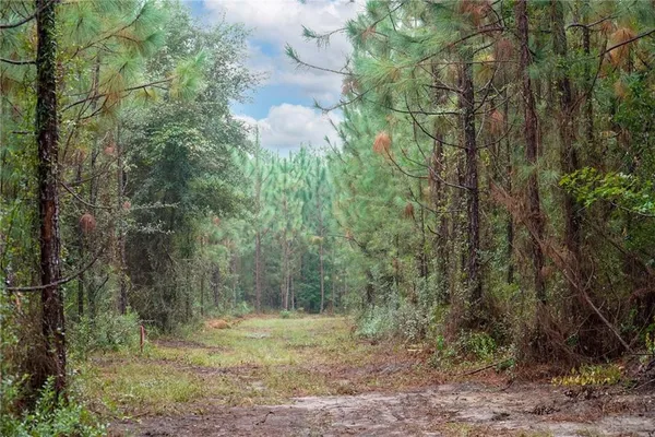 $119,900 | 5-tract 5-tract Old Saddle Way Road, Townsend, GA 31331