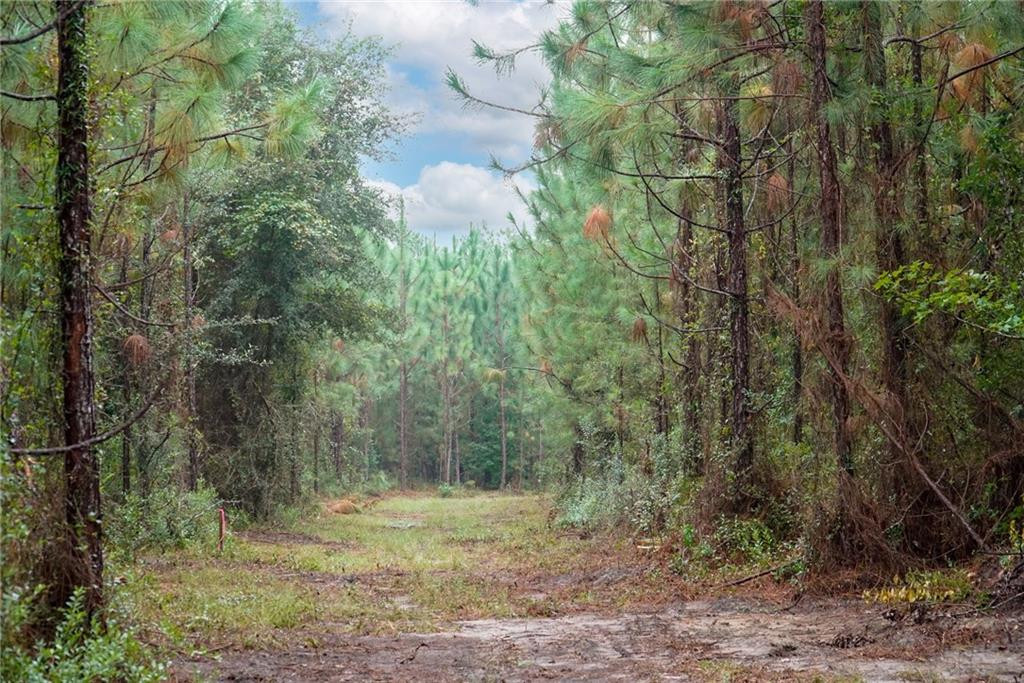 3-tract 3-tract Old Saddle Way Road Townsend, GA 31331 - Photo 1 of 1