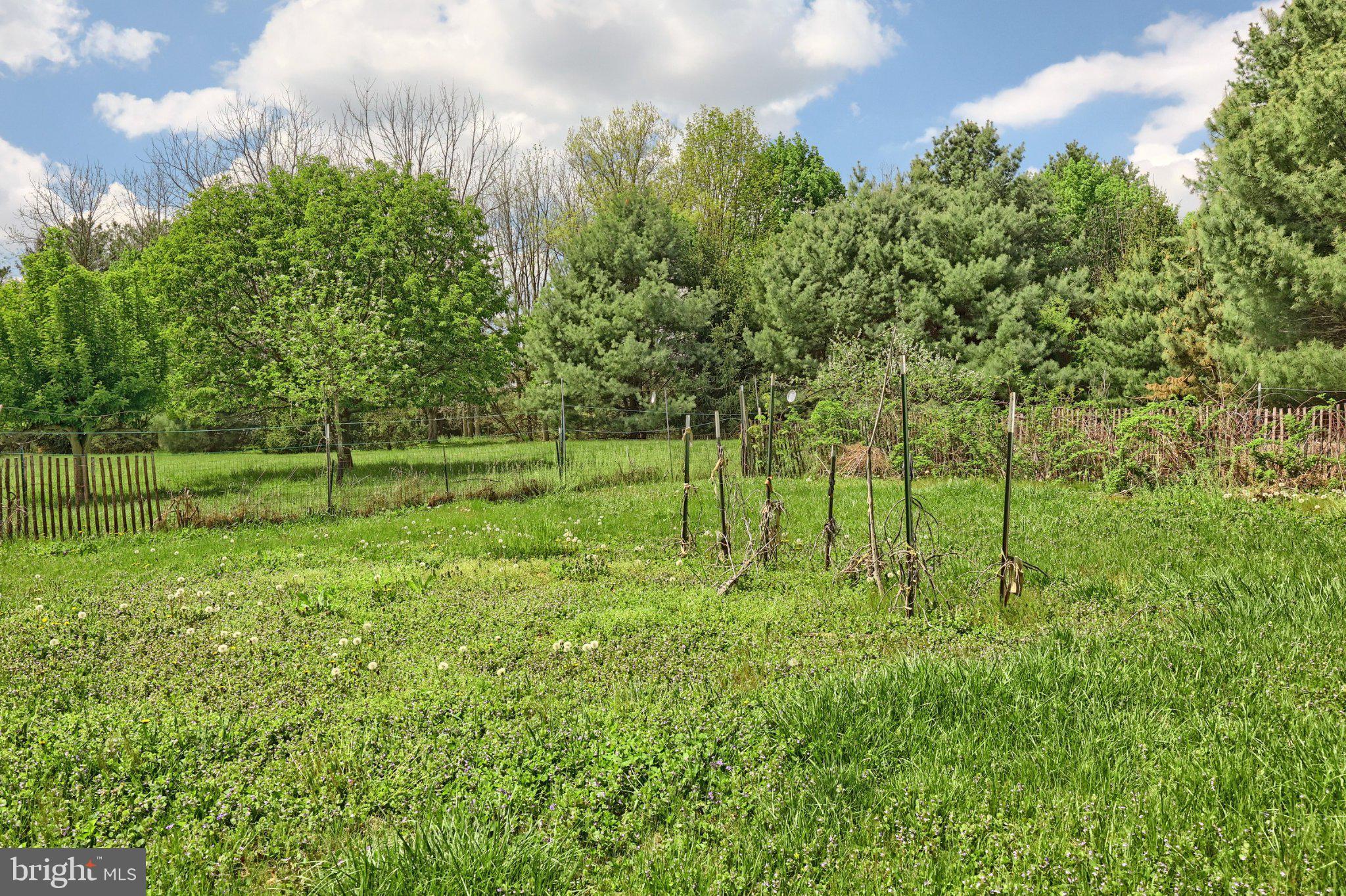 1974 Yingling Drive Spring Grove, PA 17362 - Photo 25 of 69 Lush green landscape under blue skies.