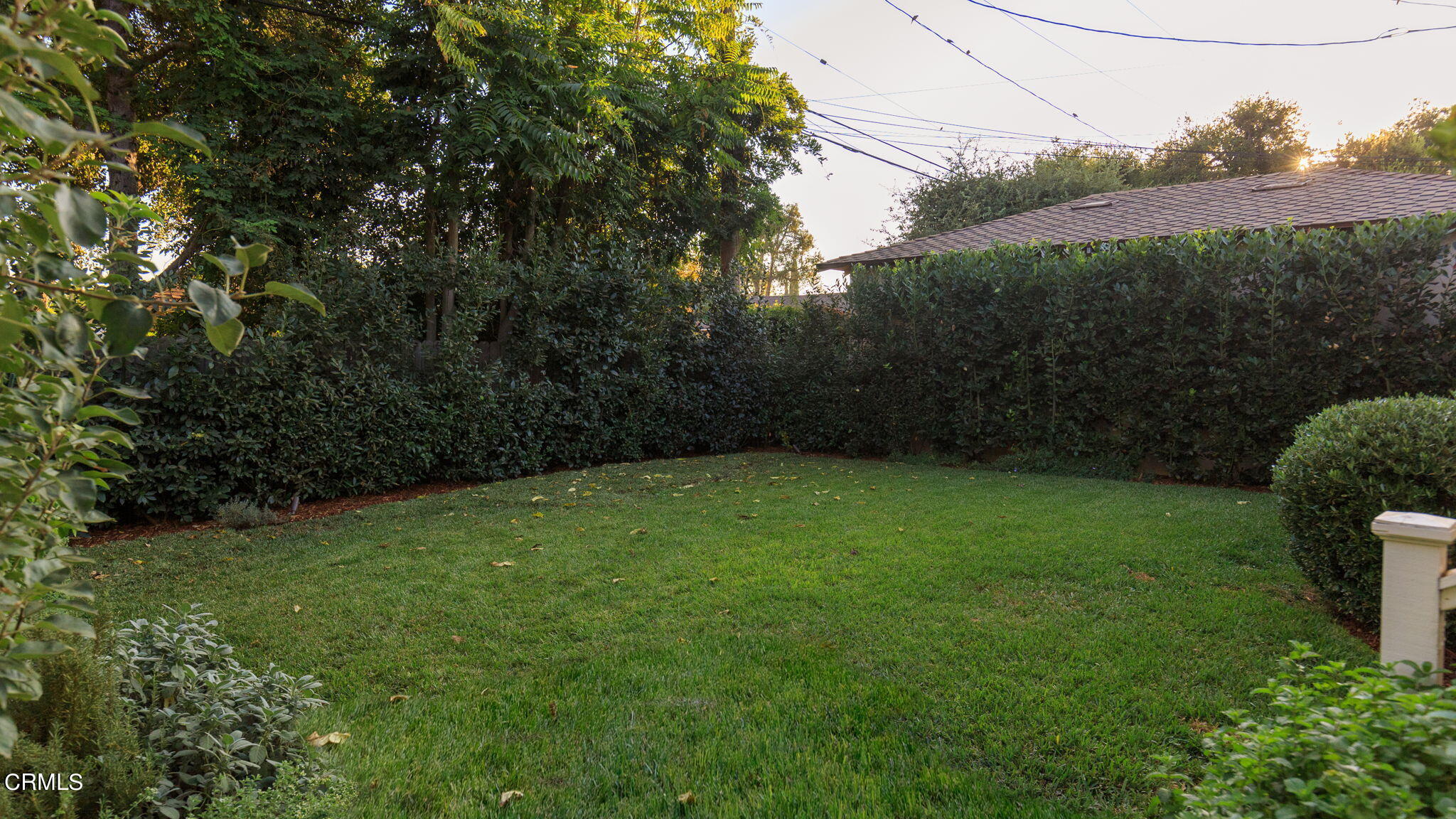 2242 Brigden Road Pasadena, CA 91104 - Photo 28 of 32 a view of a backyard