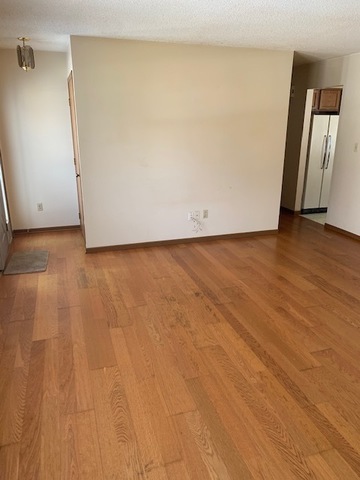 400 Wayne Road Rochelle, IL 61068 - Photo 4 of 9 an empty room with wooden floor and mirror
