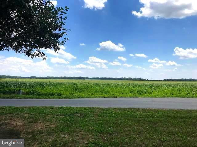 6231 Jones Village Road Hurlock, MD 21643 - Photo 2 of 18 Beautiful farm field views