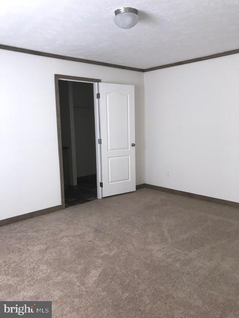 6231 Jones Village Road Hurlock, MD 21643 - Photo 13 of 18 Master bedroom with carpet
