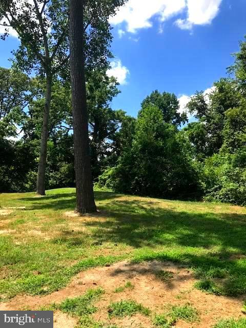 6231 Jones Village Road Hurlock, MD 21643 - Photo 4 of 18 Mature trees on large lot
