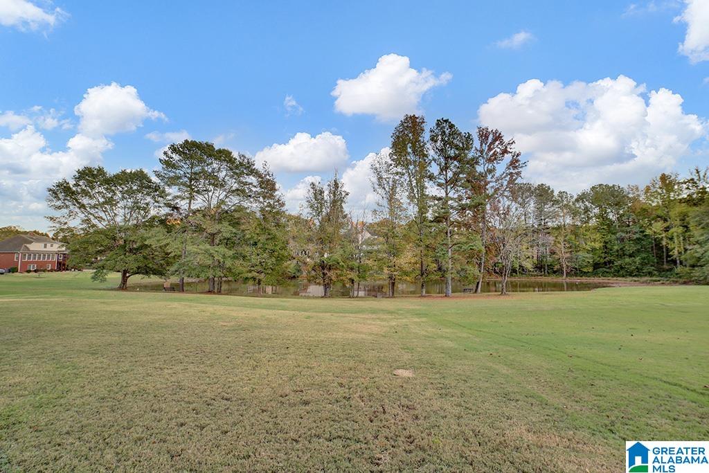 1114 Park View Birmingham, AL 35244 - Photo 44 of 50