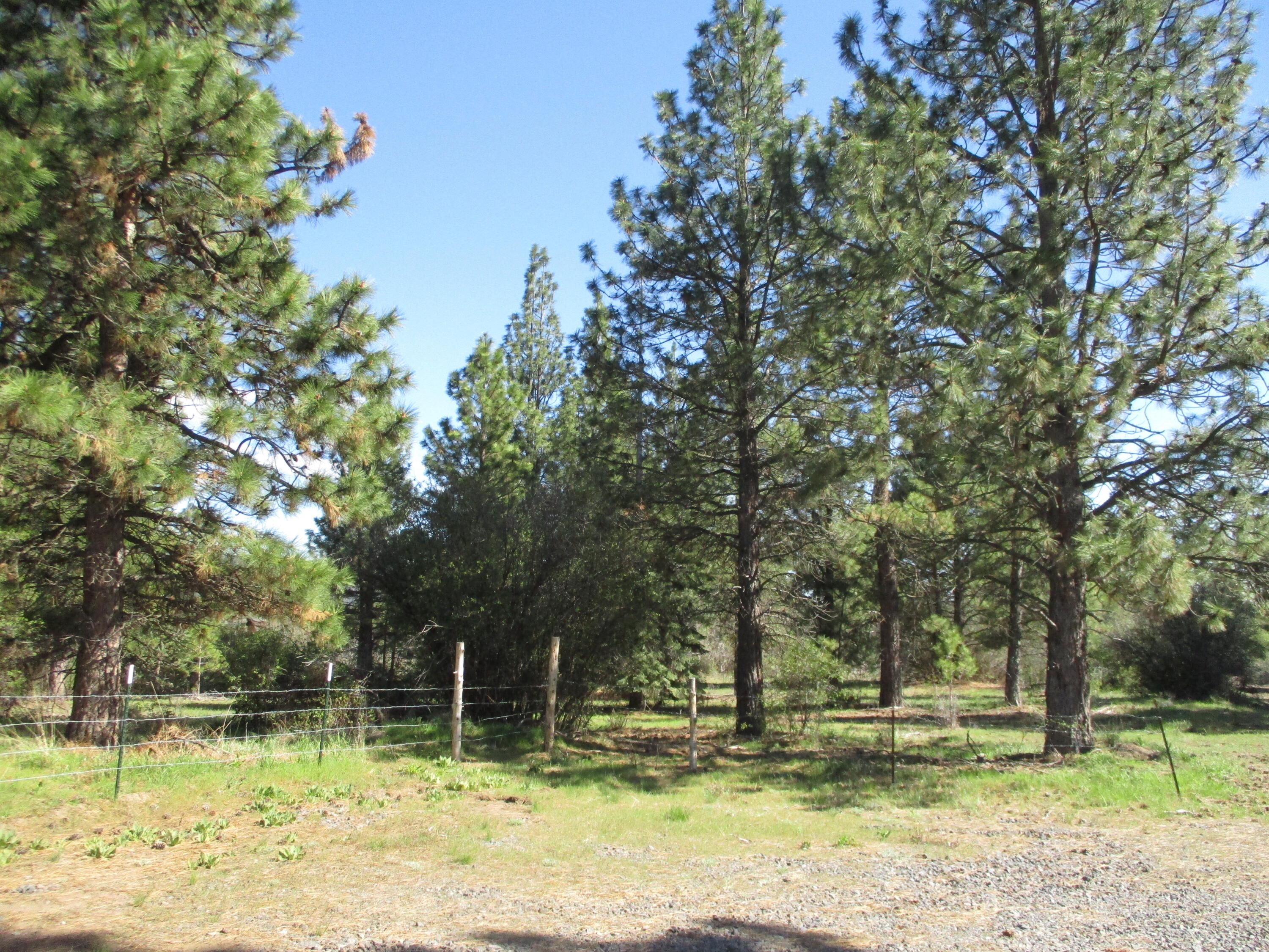 36141 David Street Chiloquin, OR 97624 - Photo 38 of 43 IMG_0974
