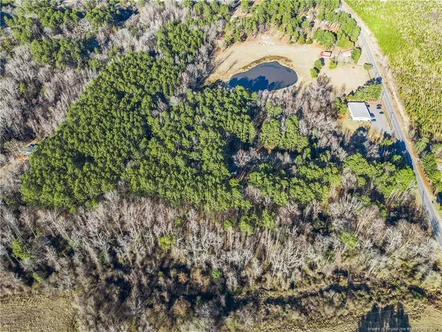 a view of a forest with trees and houses