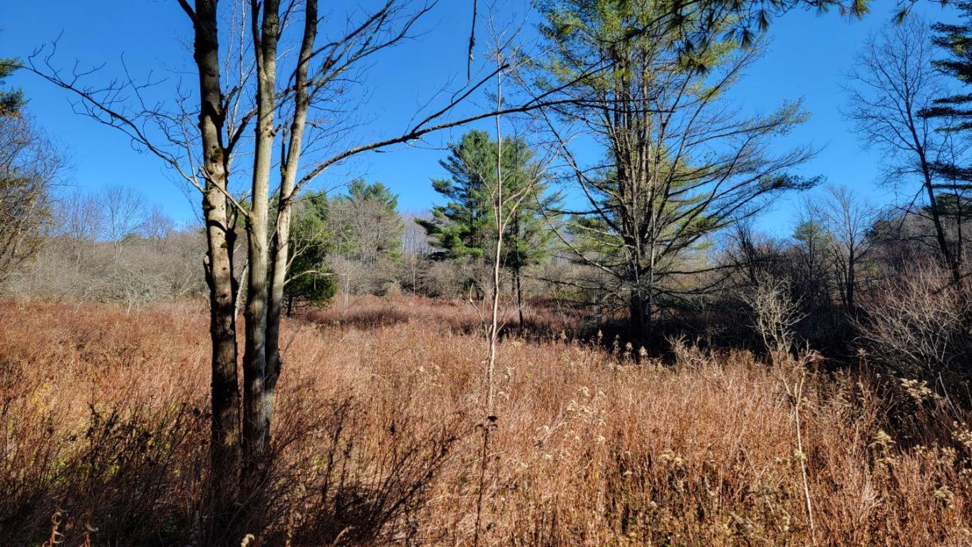 0 Tedle Brook Road Jefferson, NY 12093 - Photo 11 of 54