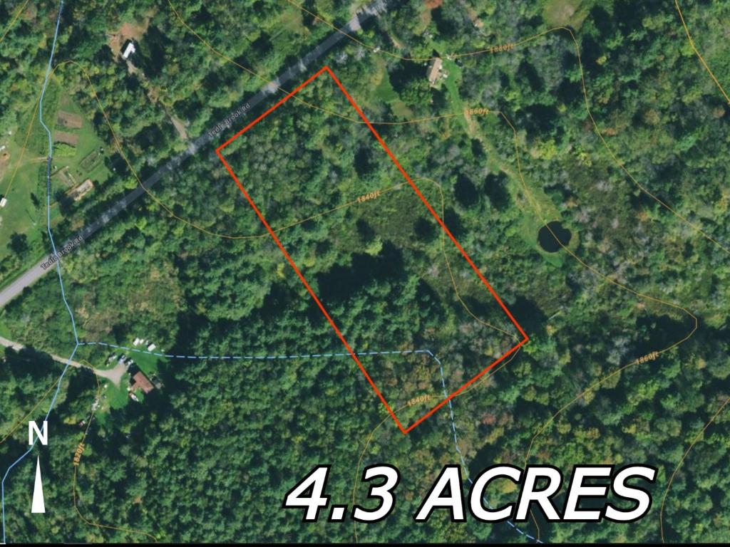 0 Tedle Brook Road Jefferson, NY 12093 - Photo 12 of 54