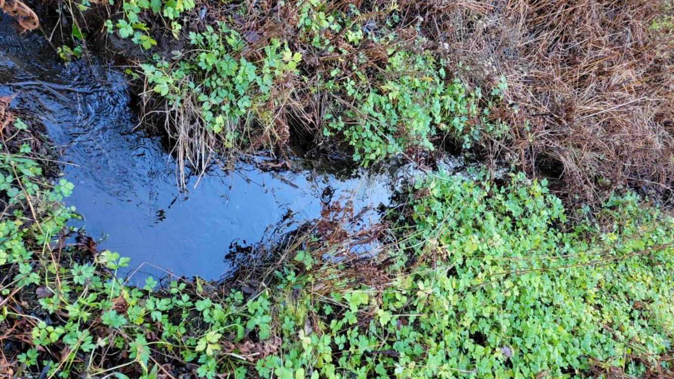 0 Tedle Brook Road Jefferson, NY 12093 - Photo 13 of 54