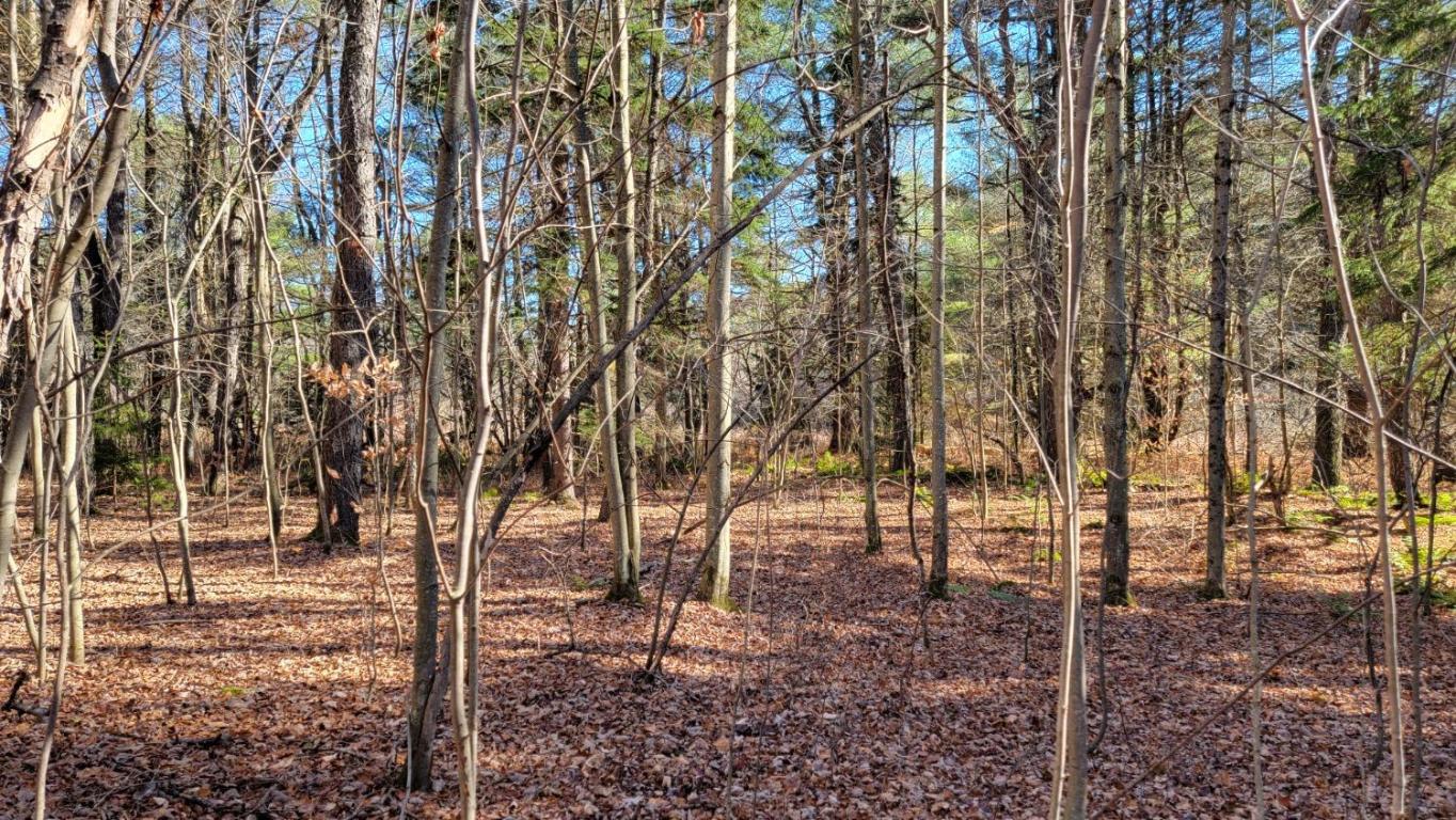 0 Tedle Brook Road Jefferson, NY 12093 - Photo 2 of 54