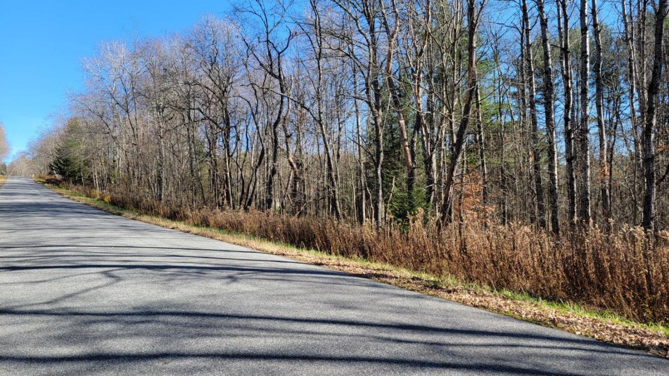 0 Tedle Brook Road Jefferson, NY 12093 - Photo 23 of 54