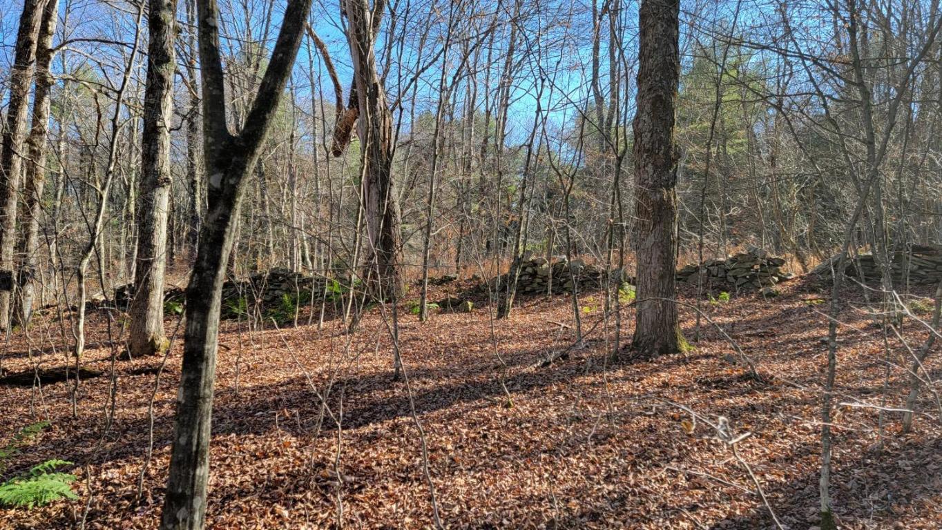 0 Tedle Brook Road Jefferson, NY 12093 - Photo 26 of 54