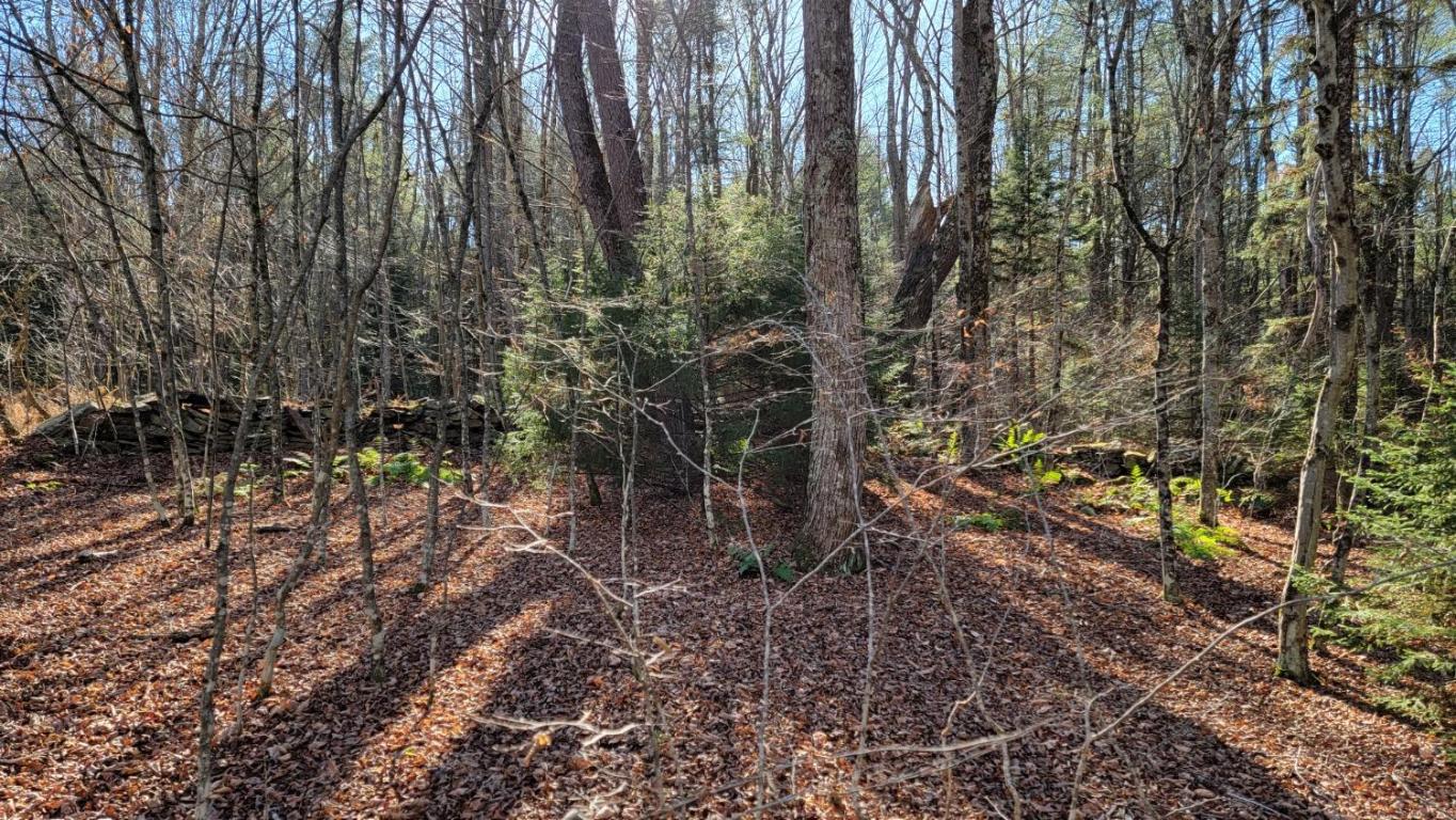 0 Tedle Brook Road Jefferson, NY 12093 - Photo 27 of 54