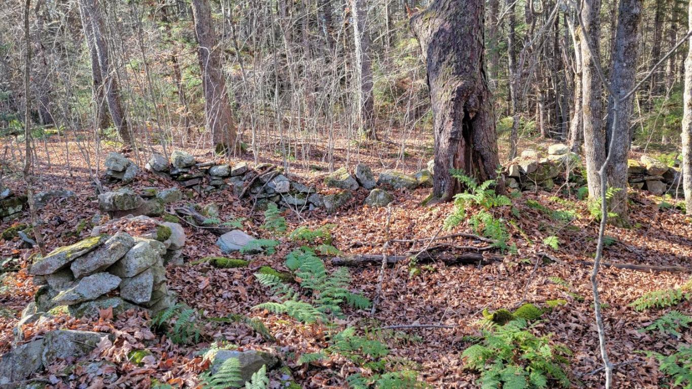 0 Tedle Brook Road Jefferson, NY 12093 - Photo 28 of 54