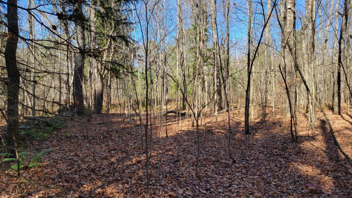 0 Tedle Brook Road Jefferson, NY 12093 - Photo 3 of 54