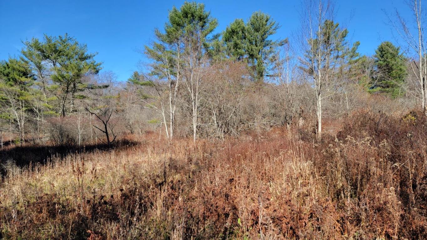 0 Tedle Brook Road Jefferson, NY 12093 - Photo 33 of 54