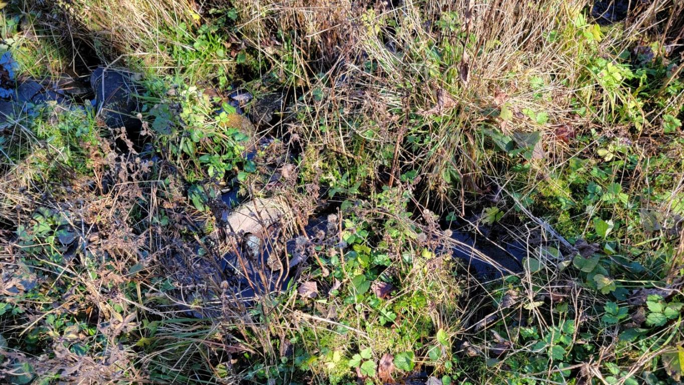 0 Tedle Brook Road Jefferson, NY 12093 - Photo 35 of 54