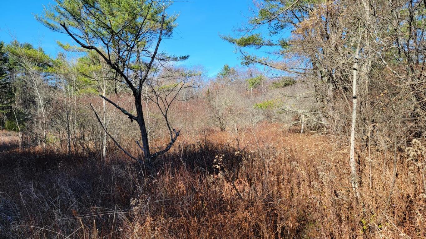 0 Tedle Brook Road Jefferson, NY 12093 - Photo 36 of 54