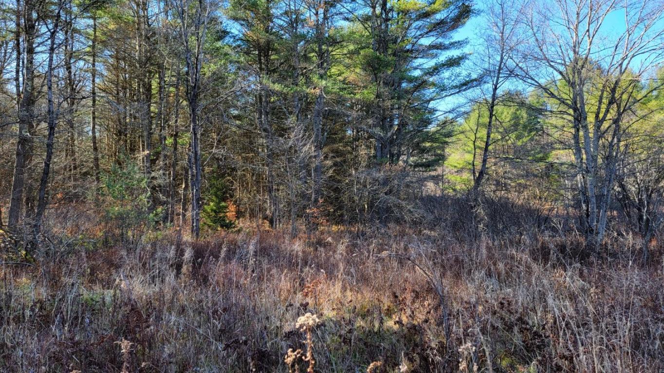 0 Tedle Brook Road Jefferson, NY 12093 - Photo 38 of 54