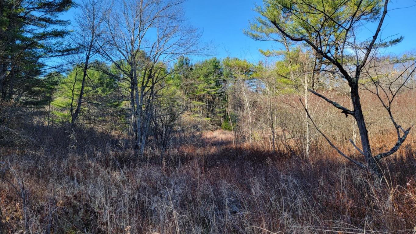 0 Tedle Brook Road Jefferson, NY 12093 - Photo 39 of 54