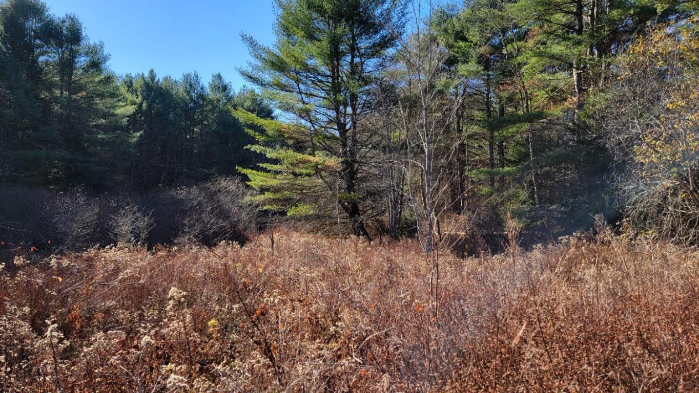 0 Tedle Brook Road Jefferson, NY 12093 - Photo 40 of 54