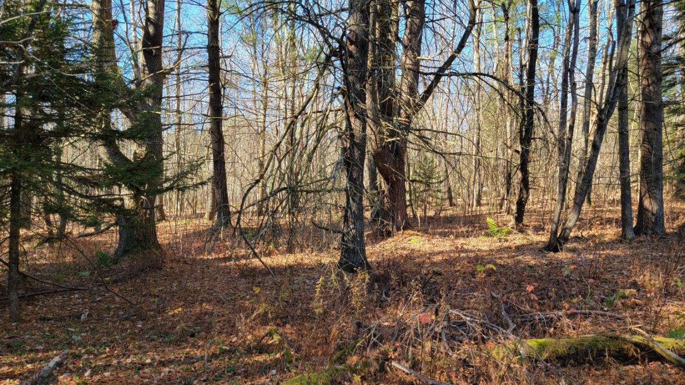 0 Tedle Brook Road Jefferson, NY 12093 - Photo 44 of 54