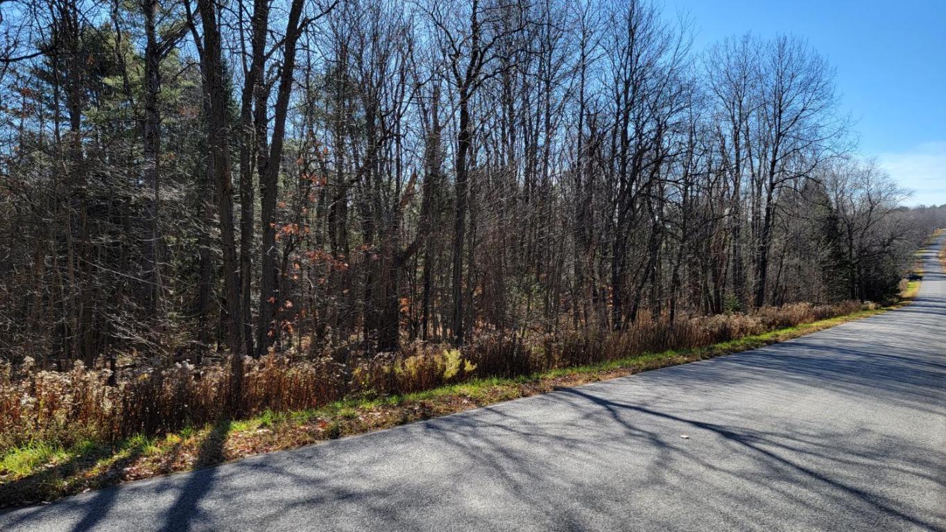 0 Tedle Brook Road Jefferson, NY 12093 - Photo 45 of 54