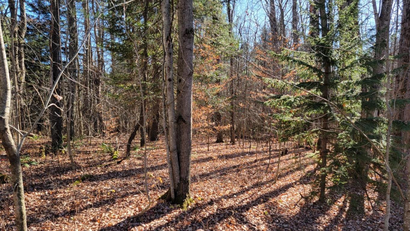 0 Tedle Brook Road Jefferson, NY 12093 - Photo 46 of 54