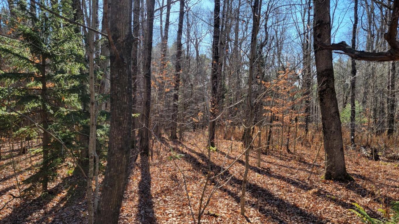 0 Tedle Brook Road Jefferson, NY 12093 - Photo 47 of 54