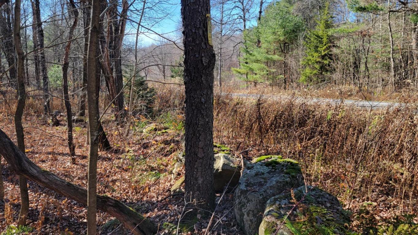 0 Tedle Brook Road Jefferson, NY 12093 - Photo 48 of 54