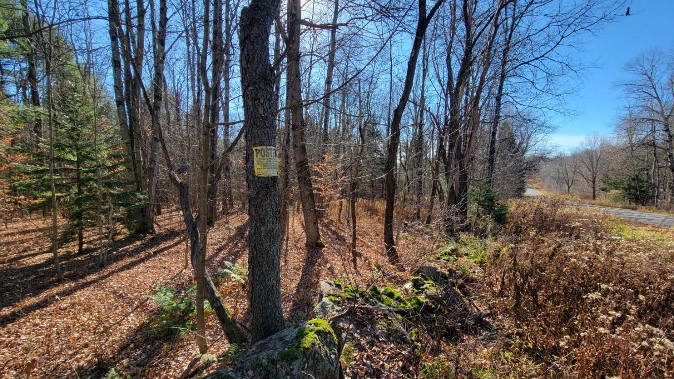 0 Tedle Brook Road Jefferson, NY 12093 - Photo 49 of 54