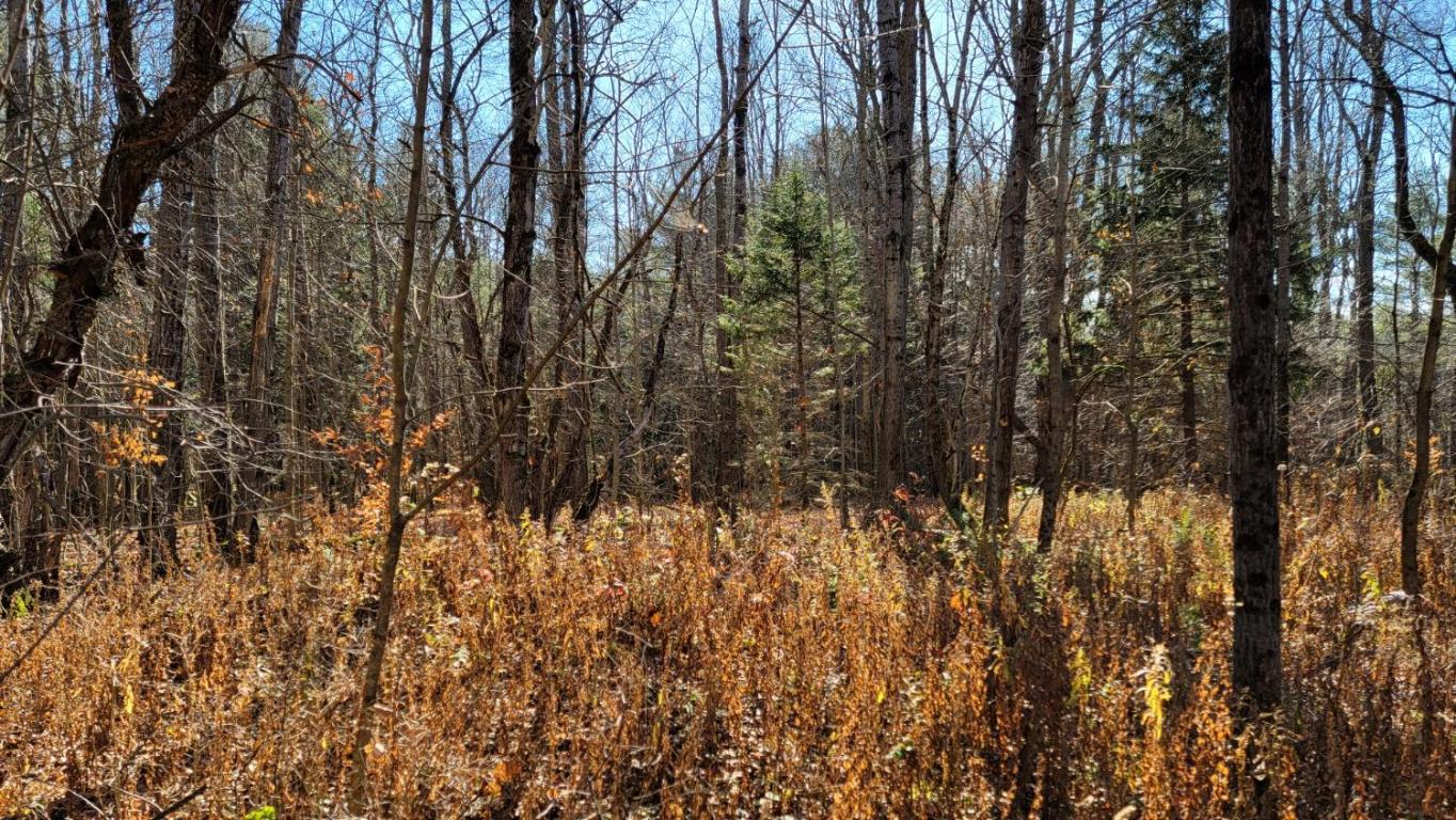 0 Tedle Brook Road Jefferson, NY 12093 - Photo 51 of 54