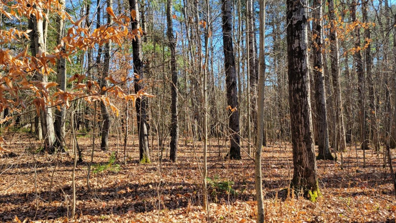 0 Tedle Brook Road Jefferson, NY 12093 - Photo 52 of 54