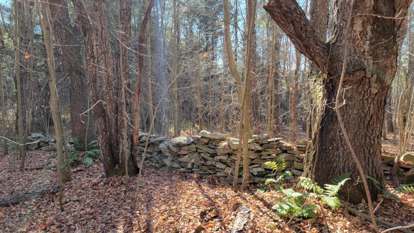 0 Tedle Brook Road Jefferson, NY 12093 - Photo 53 of 54