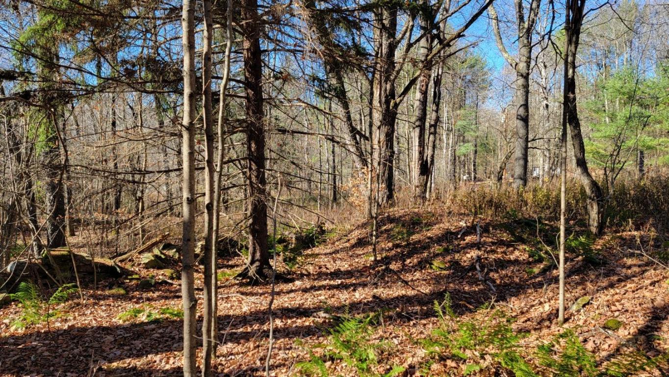 0 Tedle Brook Road Jefferson, NY 12093 - Photo 54 of 54