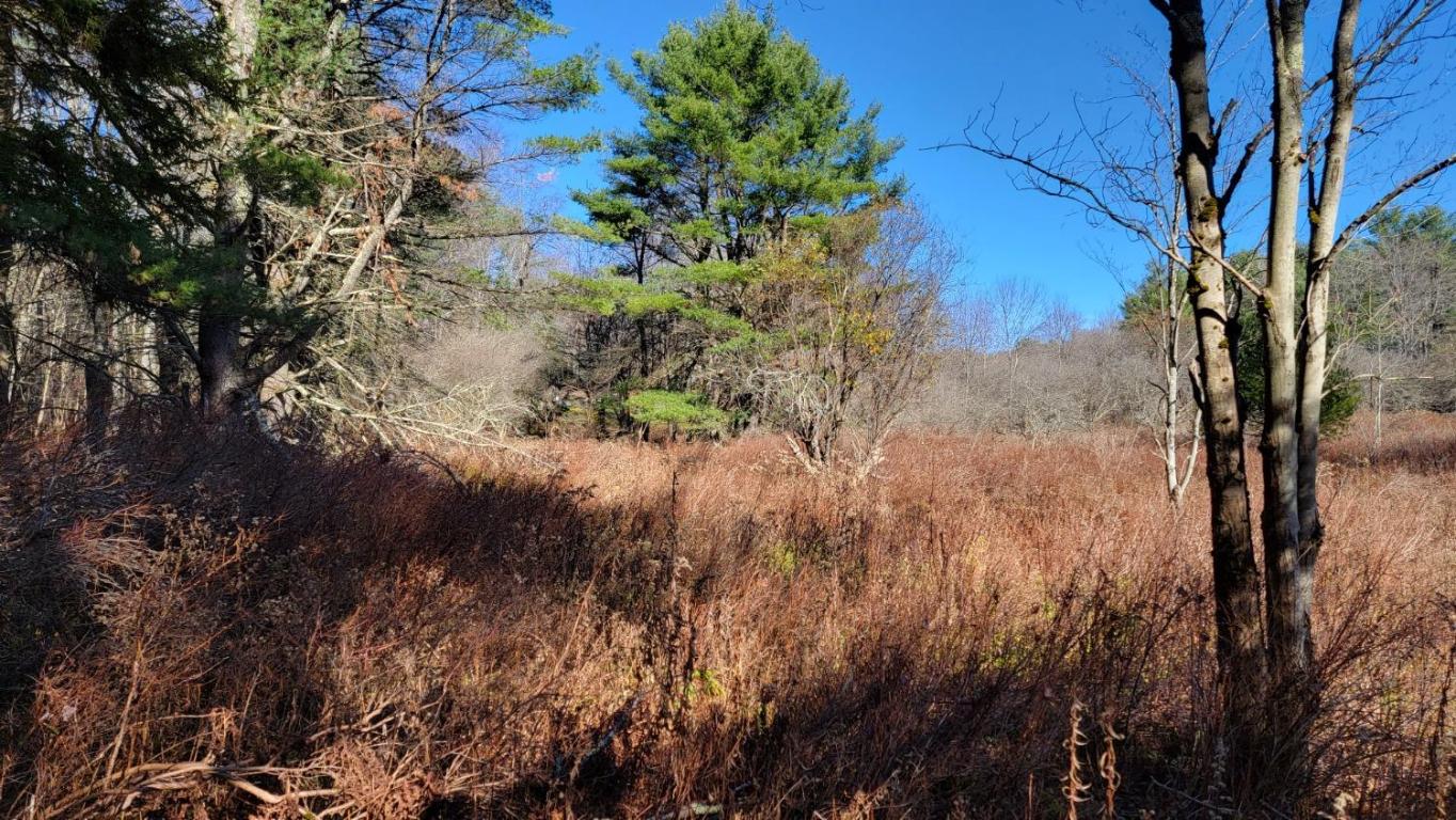 0 Tedle Brook Road Jefferson, NY 12093 - Photo 10 of 54