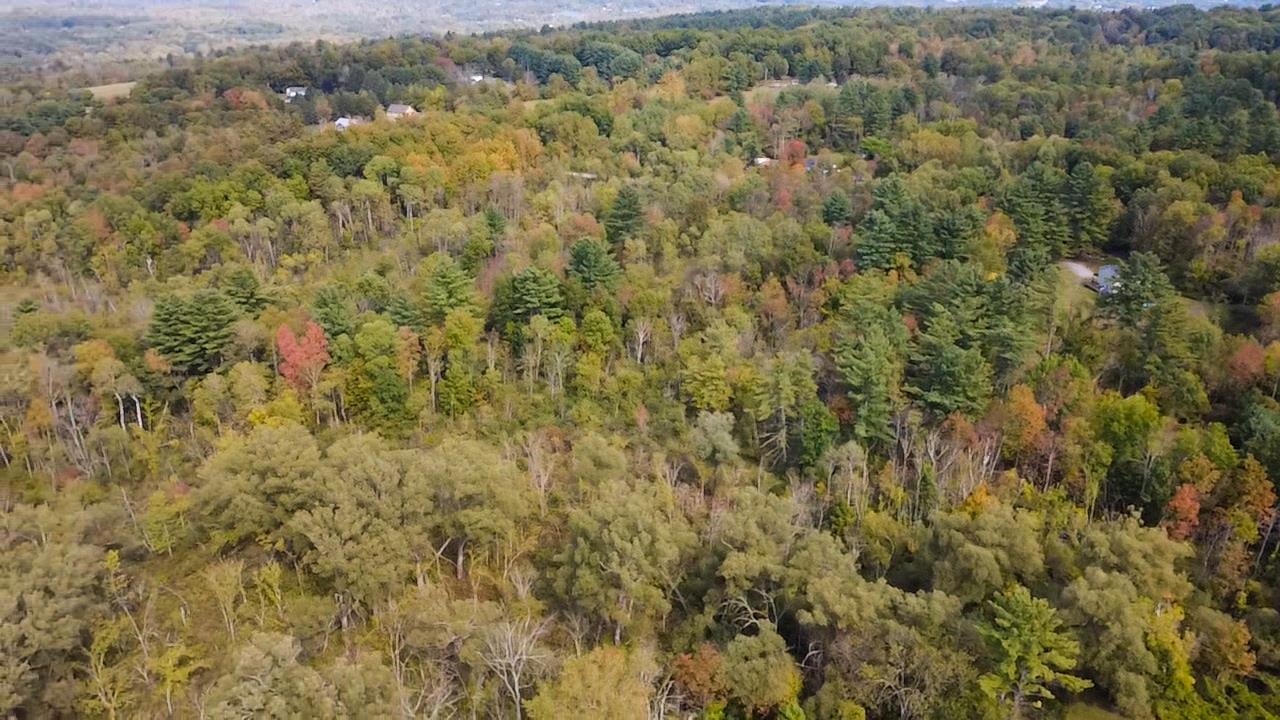 1319 Vail Road Bennington, VT 05201 - Photo 11 of 21