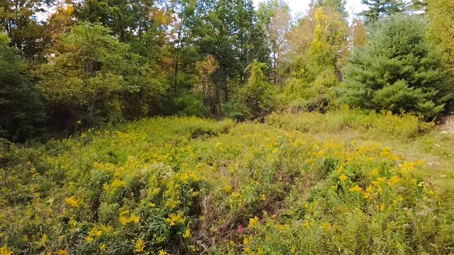 $120,000 | 1319 Vail Road, Bennington, VT 05201