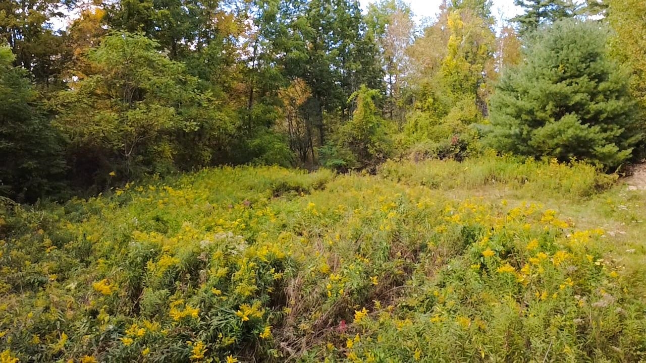 1319 Vail Road Bennington, VT 05201 - Photo 20 of 21