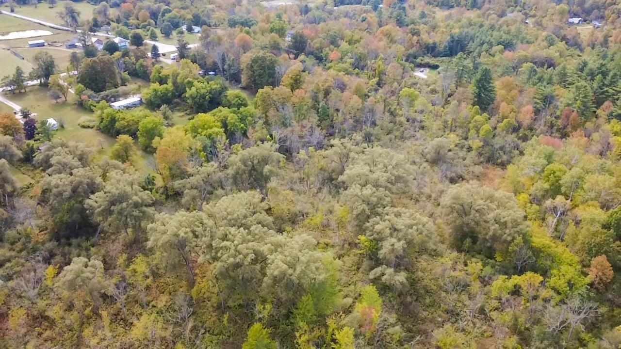 1319 Vail Road Bennington, VT 05201 - Photo 10 of 21