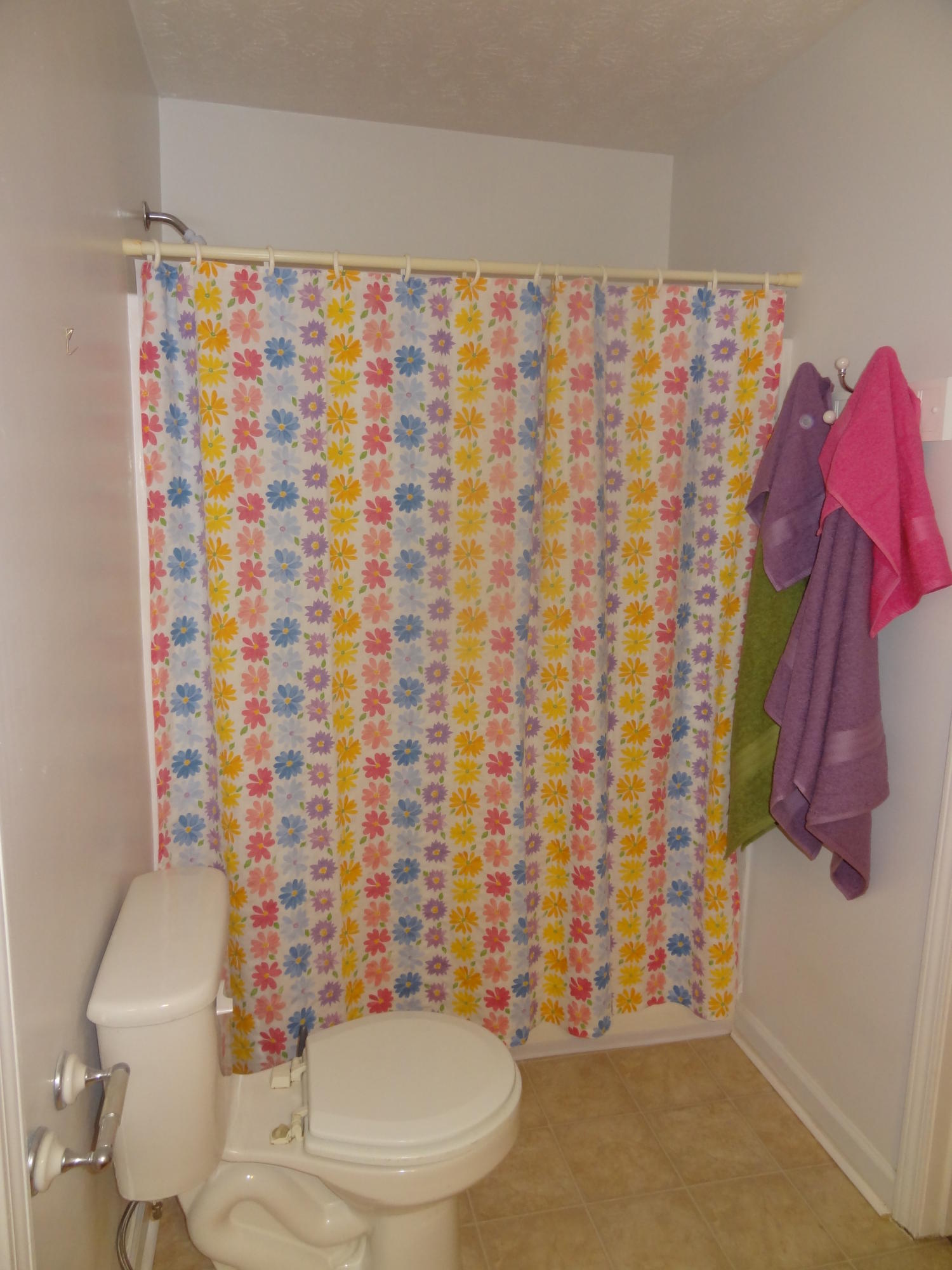 417 Coile Road Jefferson City, TN 37760 - Photo 16 of 29 Master bath, tub/shower