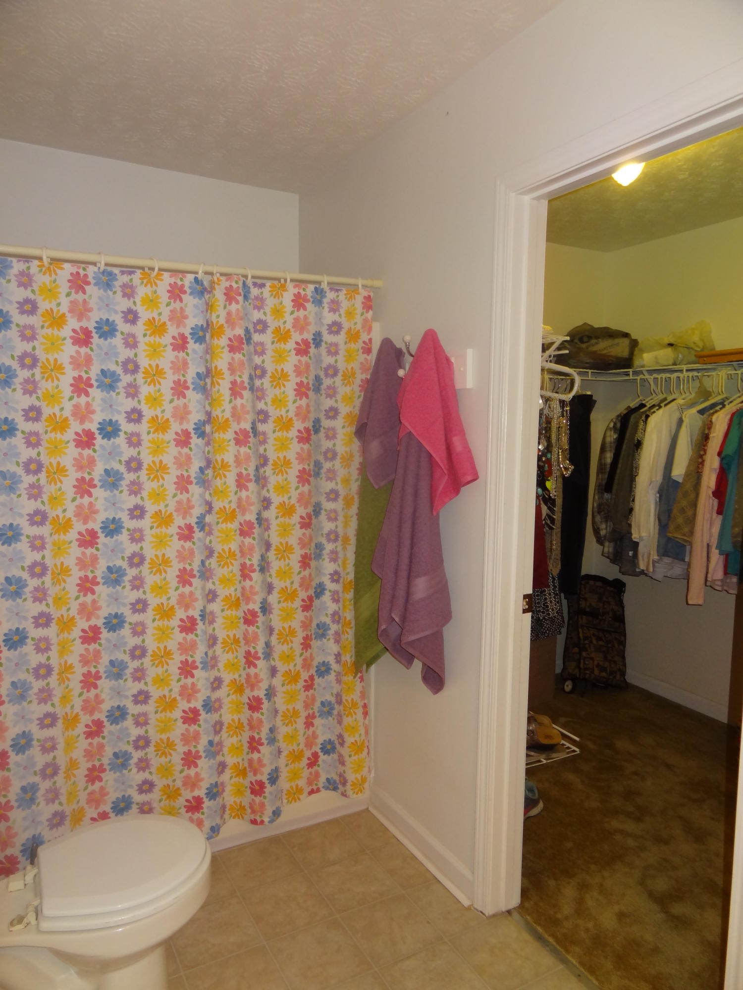 417 Coile Road Jefferson City, TN 37760 - Photo 17 of 29 Master bath, shower and walk in closet