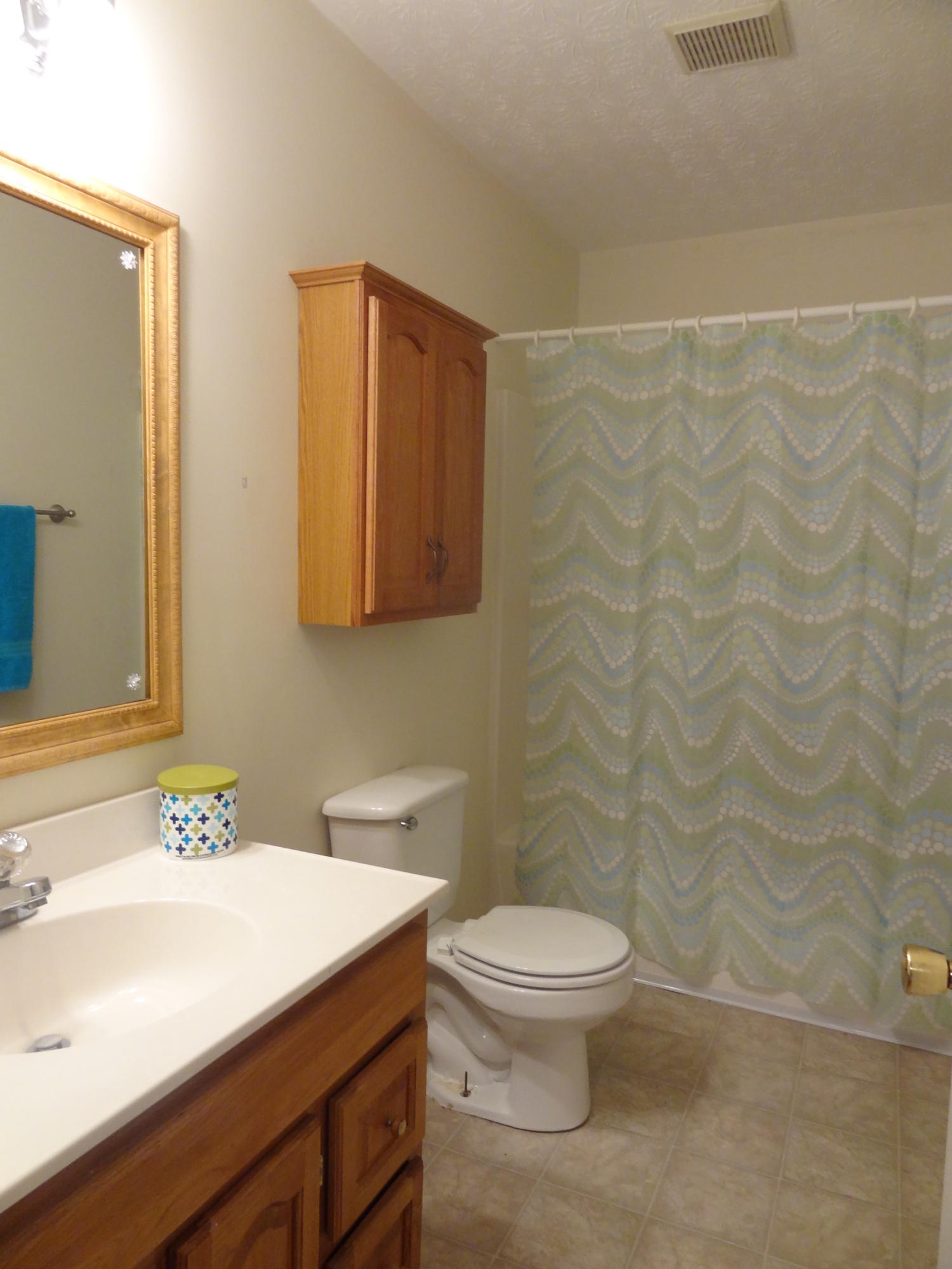 417 Coile Road Jefferson City, TN 37760 - Photo 20 of 29 Guest bath